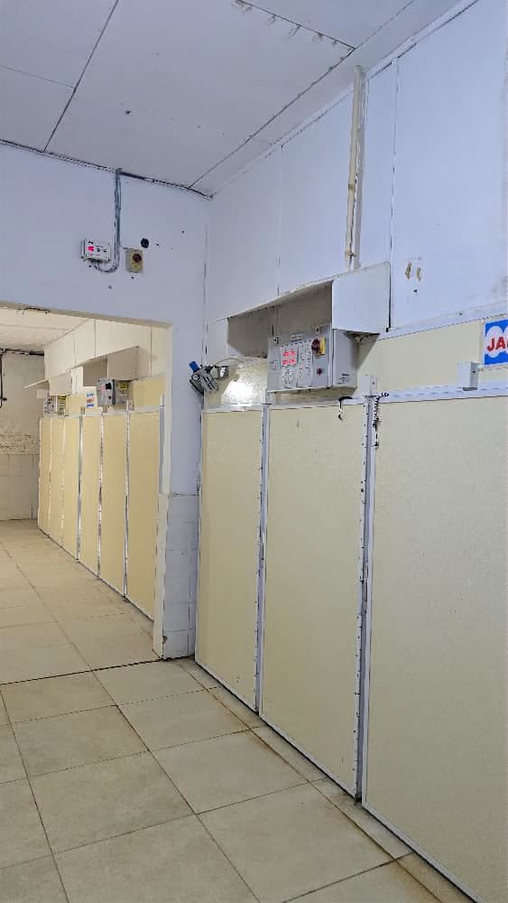 Couvoir professionnel