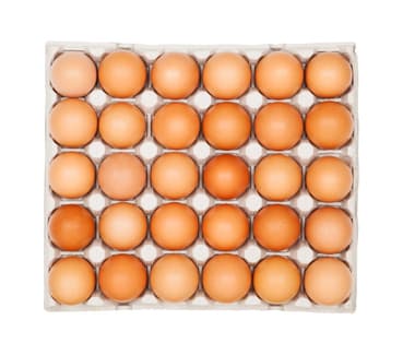 Œufs de consommation